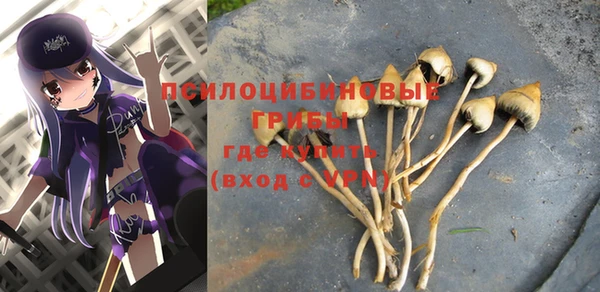 винт Армянск